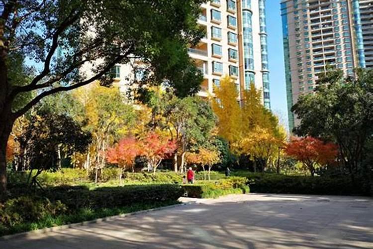 梦见买房子住进去了