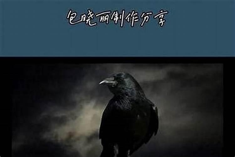 听见猫头鹰叫什么预兆？