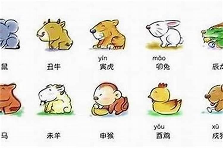 属兔女孩婚配什么属相最好？