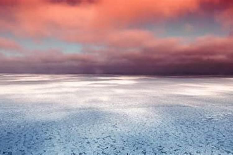 属蛇1965出生的运程