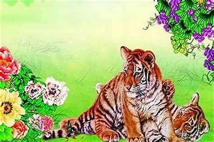 本命年的运气差吗属虎？