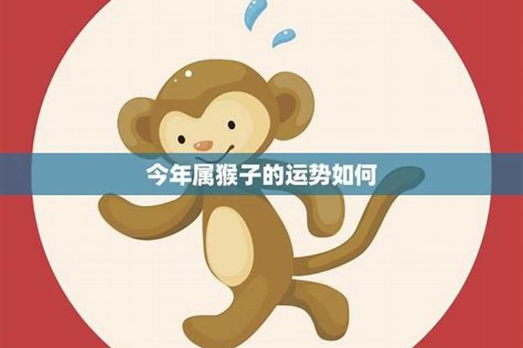 92年猴子2026年2月运势如何？