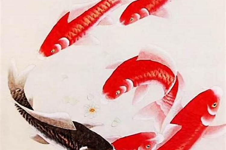 1991年辛未年的人2026年运程