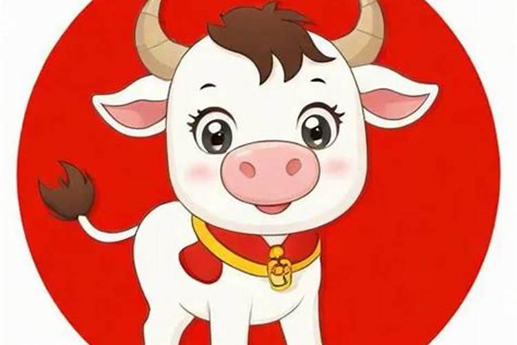 1997年属牛女命2026年运程