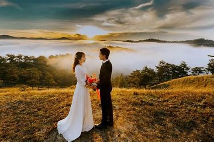 属猪和什么属相婚配好？