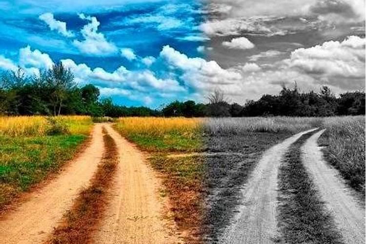 正印逢羊刃婚姻多不顺？