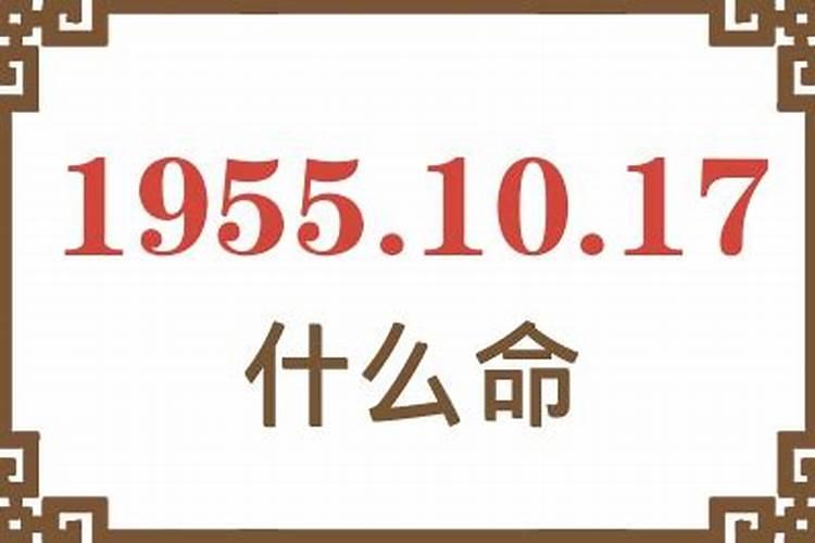 1955年是什么命？