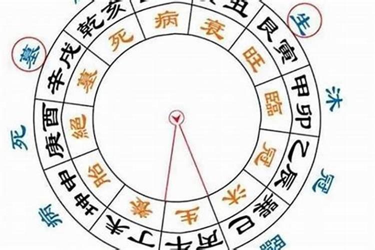 八字十二星运胎