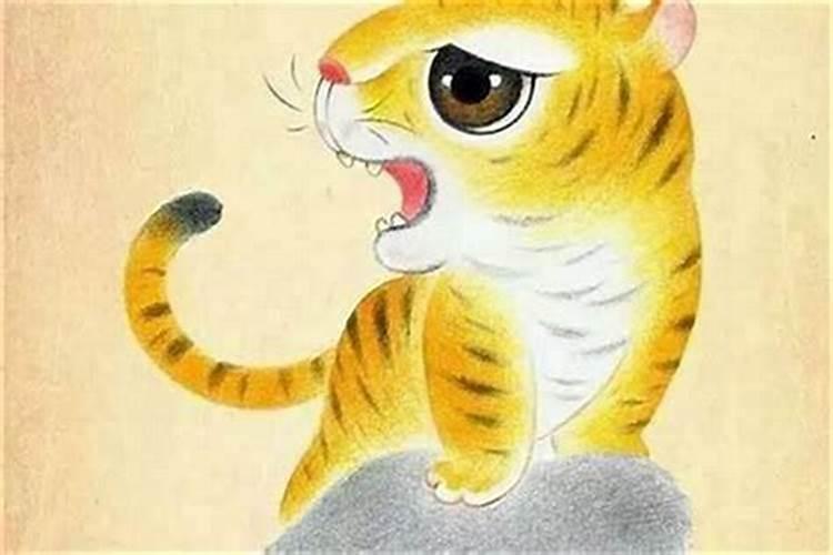 男狗与虎八字合吗？