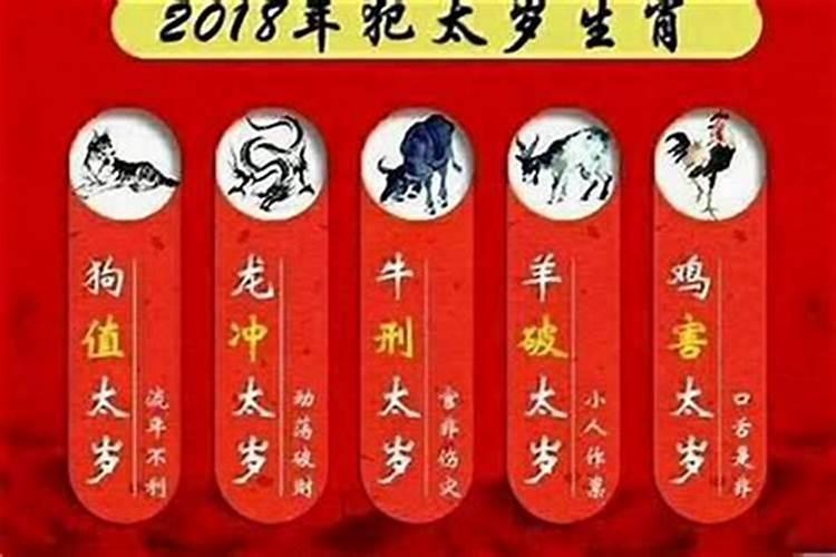 子月今年犯什么太岁？
