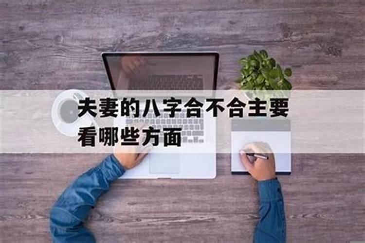 看两人八字合不合需要什么？