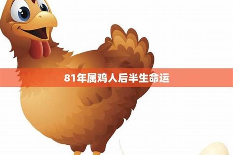 81年属鸡的2026年运程