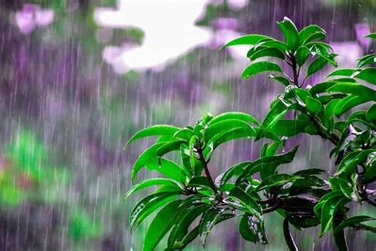 梦到下雨涨水什么意思？