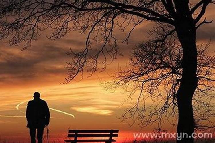 梦见害怕死去的父亲