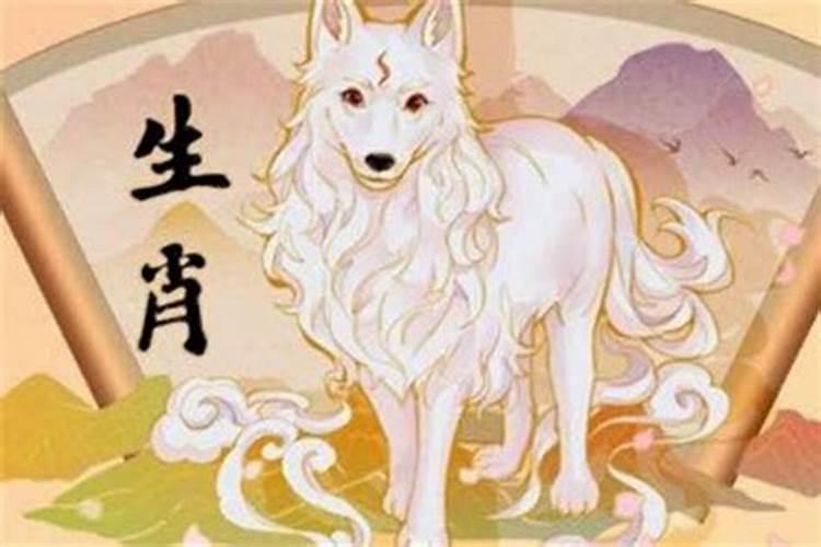 属狗人3年运程如何？