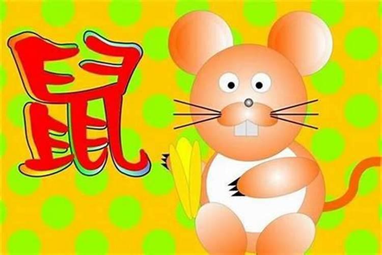 属鼠几出生最好属鼠的人生月运势？