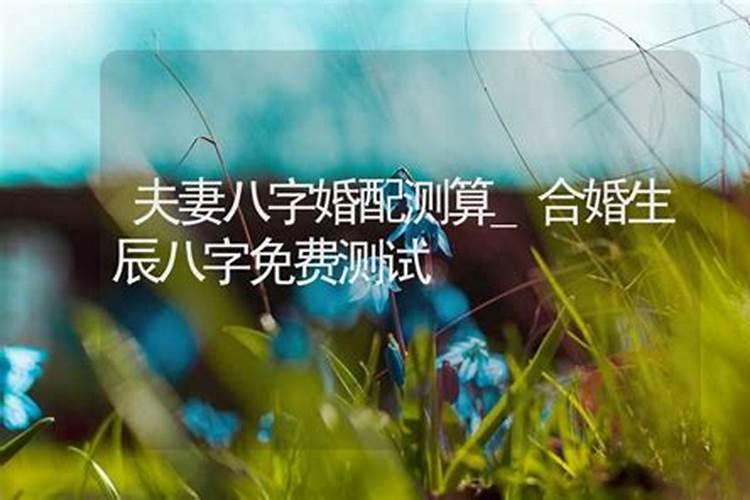 姓名八字合婚测试