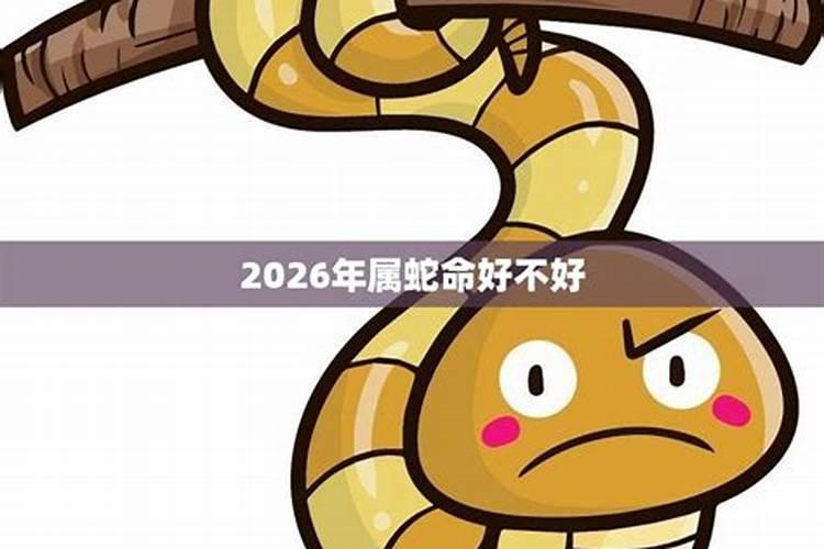 蛇人2026年运势如何？