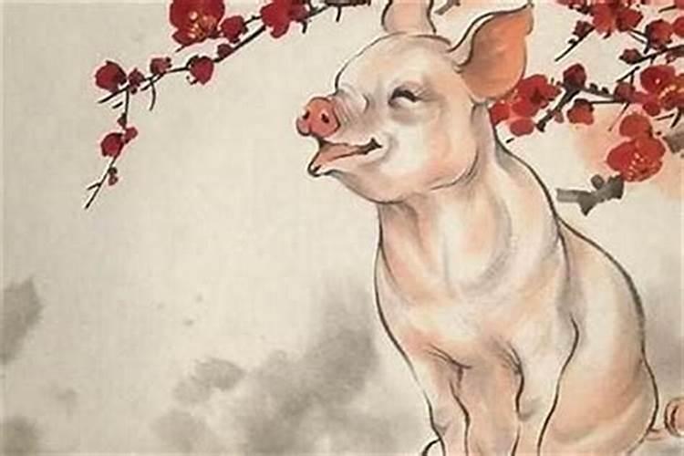 属猪今年怎么化解太岁2026？