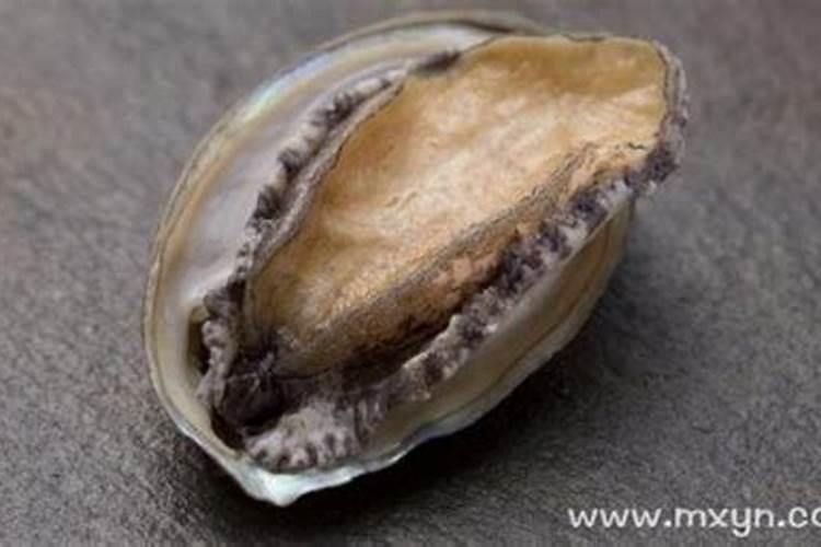 梦见鲍鱼是什么意思？