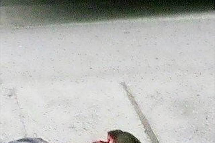 梦见老婆死了自己大哭