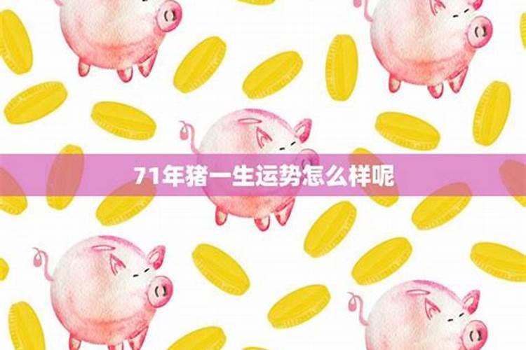 猪年出生的人狗年运势