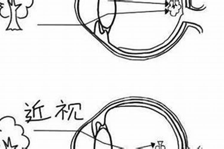 近视腊月初几啊？