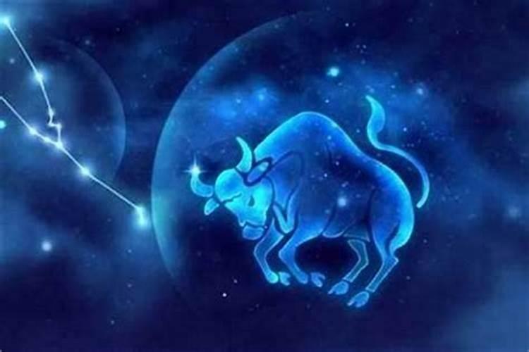 金牛座男人喜欢什么样的女人？