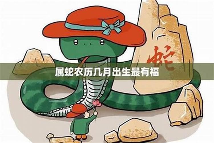 属蛇阴历8月份出生男运势