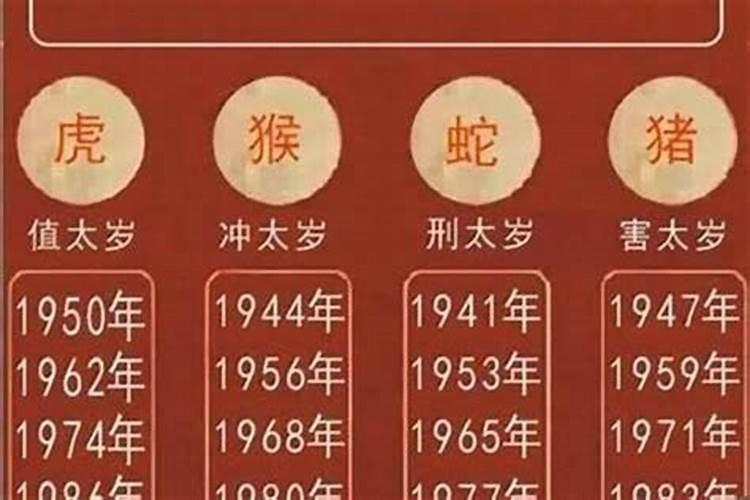 属蛇的哪一年会犯太岁？