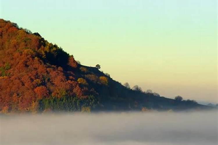 童子命的男人是福还是祸好？