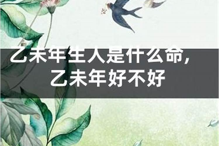 乙未年十月初一什么命？