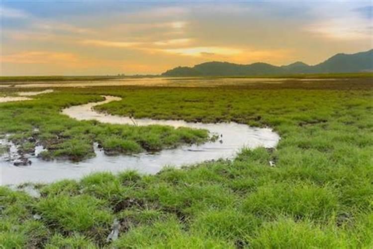 梦见水渠的流水满满流下来好不好？