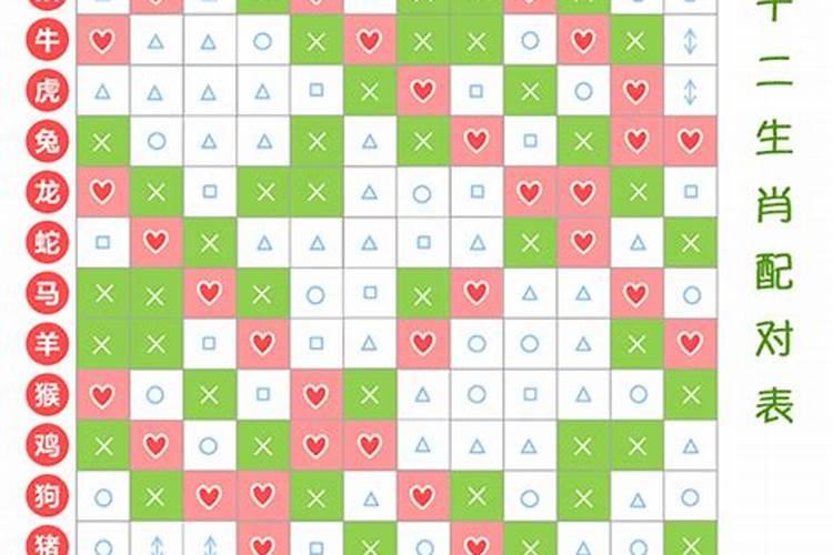 生肖配对