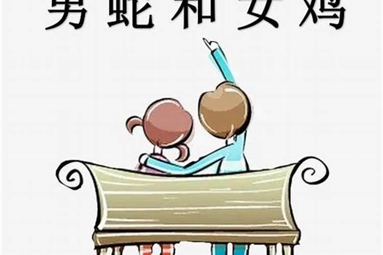 女蛇和男鸡合婚吗？