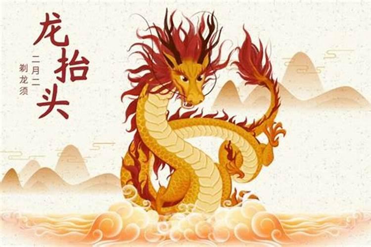 幸运龙抬头