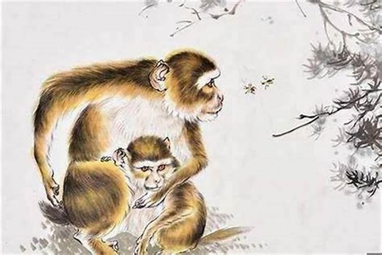 水瓶猴年腊月十六出生的人