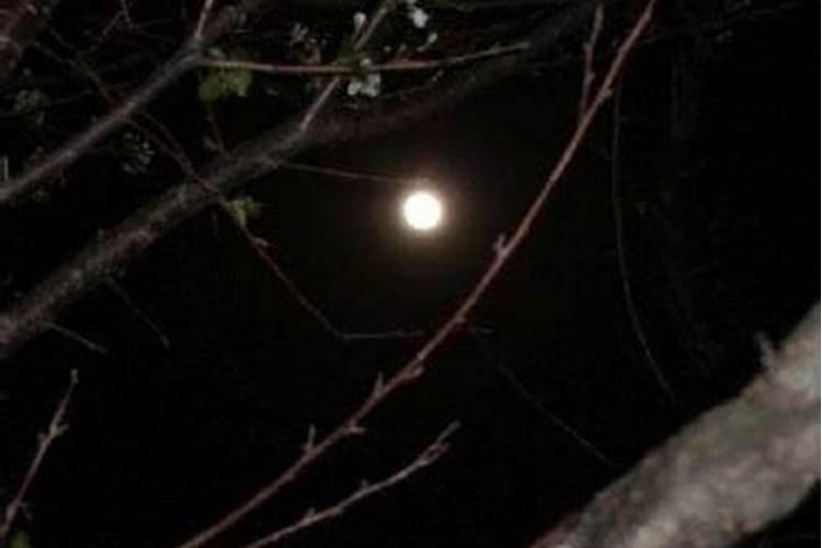 1983三月十五的命运