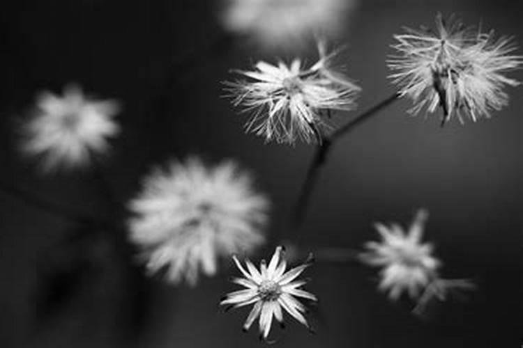 万年历上合婚是什么意思？