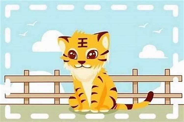 本命年可以结婚生孩子吗属虎？