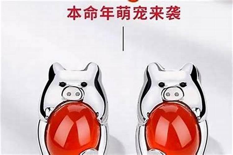 猪本命年好吗？