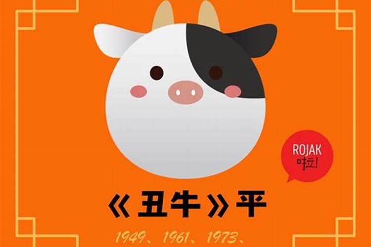 属兔在牛年的运程怎样？
