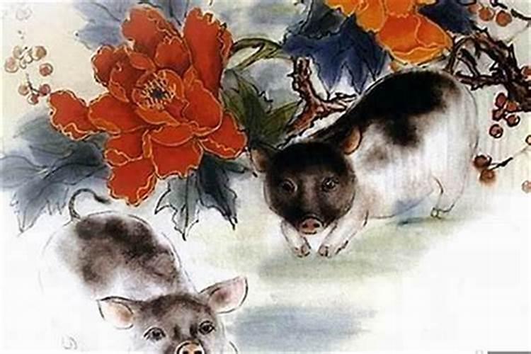 属猪的本命年想结婚怎么办？