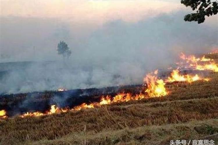 梦见坟墓着火了是什么意思啊？