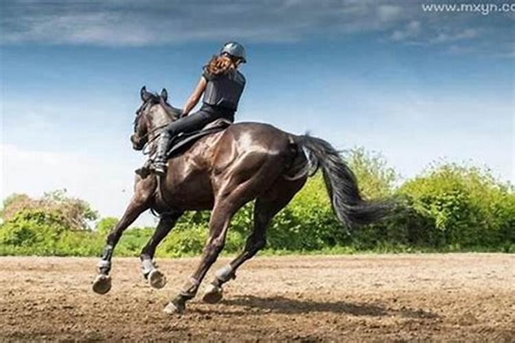 梦见骑马是什么预兆？