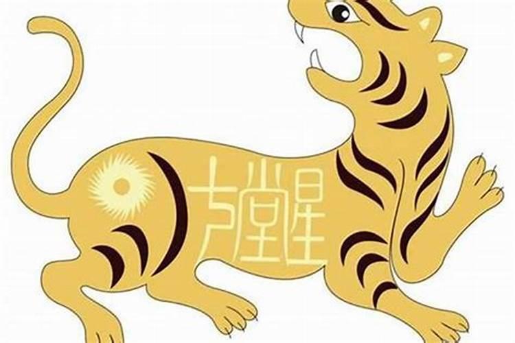 属虎人今年7月感情运势