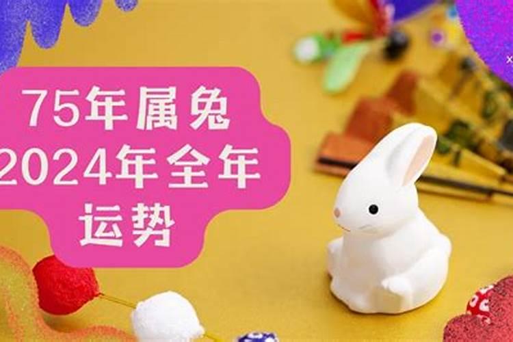 1975年属兔的人2026年运势如何？