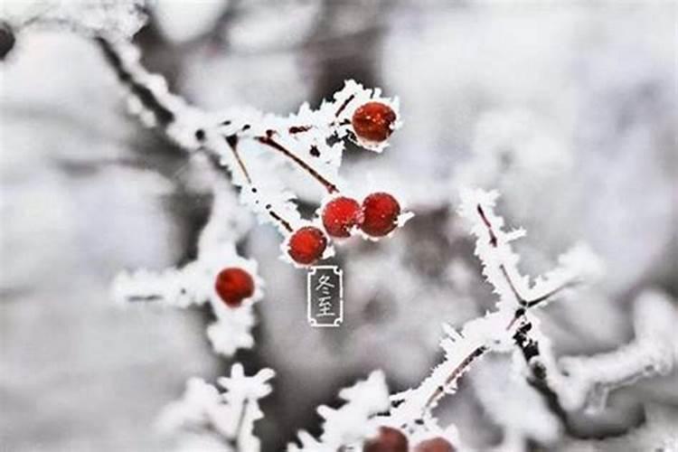 冬至还有五天是哪一天？