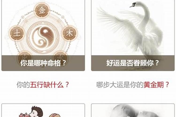 1983年属相2026年运势