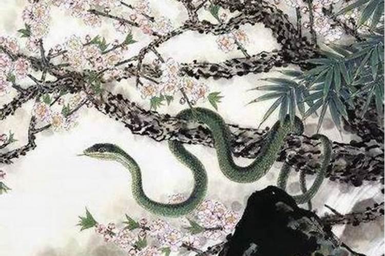 正月初一蛇的命真的不好吗？